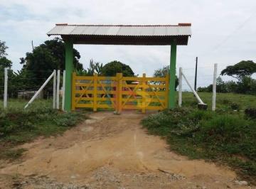 Rural · 24m² · 3 Quartos · VENDO FAZENDA