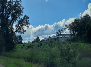 Foto 01 · Area, Germânia, Nova Petrópolis, RS