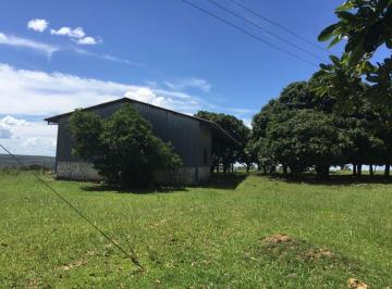 Rural , Niquelândia · BURITI ALTO -NIQUELÂNDIA 3500Hect 80MILHÕES-ACEITA IMÓVEL EM BRASÍLIA-PARTE