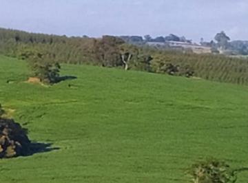 Foto 01 · Fazenda 100 Alqueires, 35 Alqueires em Área Plantada, Planta-se Mais 30 Alqueires, Topografia Ótima,