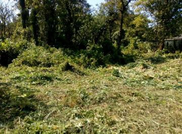 Rural · 1400m² · Chácara em Estrada da Fazenda - Agenor de Campos - Mongaguá/SP