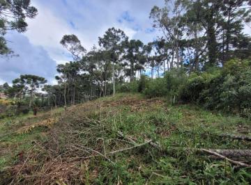 Terreno · 1400m² · Lote em Rua Felício Raimundo - Jaguaribe/Abernéssia - Abernessia - Campos do Jordão/SP