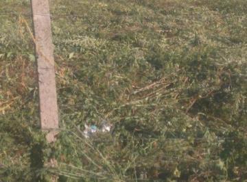 Terreno · 699m² · Terreno Lote para Venda em Jardim Mezzomo Guatambú-SC