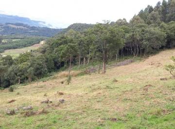 Terreno · 1 Quarto · 
                                área, com maravilhosa e deslumbrante vista. Bairro Linha Imperial, 