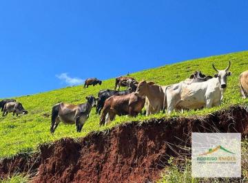 3840ac01554d6db120b38c33b43457ac29e4a6ba · Fazenda com 3 dormitórios à venda, 366840 m² por R$ 1.900.000,00 - Zona Rural - Maria da Fé/MG