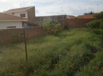 Foto 01 · Terreno, Parque Glória IV, Catanduva, SP