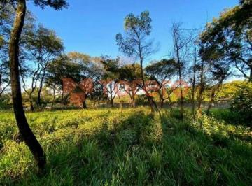 Terreno · 5092m² · Terreno MOGI MIRIM - SP