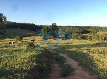 Foto 01 · FAZENDINHA A VENDA NO MUNICÍPIO DE SÃO SEBASTIÃO DO OESTE-MG