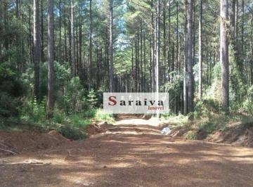 4c3048375d5521c587eddbd2cf27b383ea3580d2 · Fazenda à venda, 45770000 m² por R$ 750.000.000,00 - Área Rural de Avaré - Avaré/SP