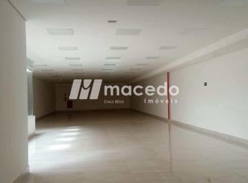 Comercial · 500m² - Macedo Imoveis · Salão Corporativo, Água Branca, São Paulo- Locação