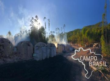 Foto 03 · FAZENDA 165 HECTARES EM CARVALHOS COM POTENCIAL TURÍSTICO E CARVOEIRO!