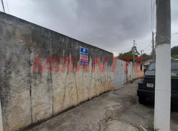 c13b00fd97329858d2103f09693a658d.jpg · Terreno