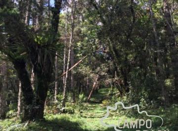 Foto 01 · ÁREA RURAL 42.249M² EM SAPUCAÍ MIRIM!