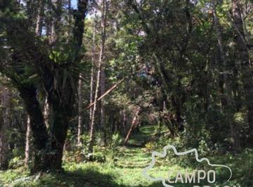 Foto 01 · ÁREA RURAL 42.249M² EM SAPUCAÍ MIRIM!