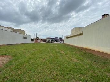 0 · terreno à venda em Cascata