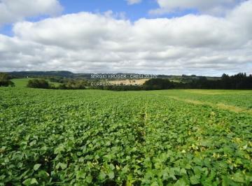 Foto 08 · Área Rural, Avenquinha, Campo Alegre, SC