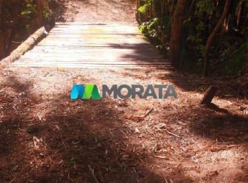 4414_iY83hA947z5f4e73_44145f9c3fb322ecc.jpg · Imoveis - na Zona Rural