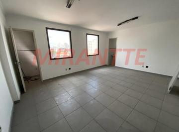 9c4d05a5459fb7a0c696f83dacd06e02.jpg · Comercial de 37m²