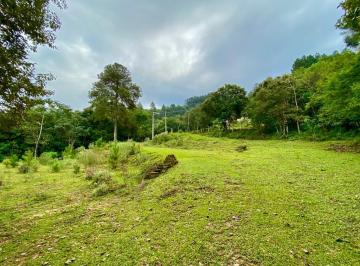 Rural , Sapiranga · Sitio com 3 Hectares em Sapiranga/RS na Localidade de São Jacó
