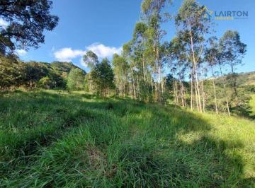 449f2610bdf2801e1e2dde6e636aa18259eb874a · Sítio à venda, 237160 m² por R$ 1.500.000,00 - Canedos - Piracaia/SP