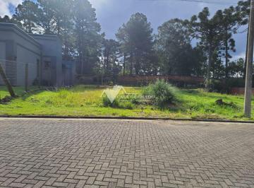 g1_368_6349_1606_120522.jpg · TERRENO EM GRAMADO
