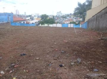 Terreno · 1300m² · Lote em  Rua Catarina Álvares - Jardim Matarazzo - São Paulo/SP