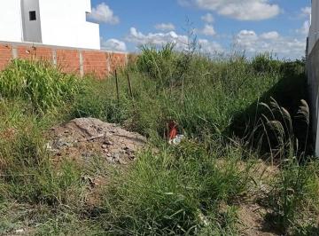 Terreno · 200m² · Lote em Rua Torquato Neto - Veredas - Campos dos Goytacazes/RJ
