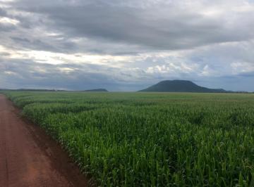 Rural , Santa Rosa do Tocantins · Oportunidade excelente fazenda em Santa Rosa -TO plantando com 1897 hectares