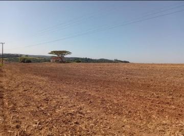 Foto 11 · FAZENDA A VENDA EM SÃO MIGUEL ARCANJO-SP ??  - Área Total 47 Alqueires - Atualmente 8 Alqueires em L