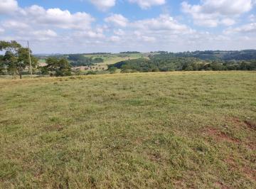 Foto 01 · Fazenda 42 Alqueires, Formada em Pasto, Terra Vermelha e Mista, Montada na Pecuária, Rica em Água Co