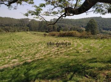 fb4d049f44ca8dcf5f3387f00289e57877460ede · Haras à venda, 556600 m² por R$ 5.000.000,00 - Zona Rural - Piedade/SP
