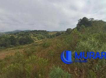Rural · 114000m² · 2 Quartos · Fazenda com 114 ha podendo chegar a 614 ha