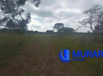 Rural · 4000000m² · Fazenda Pecuária com 400 ha
