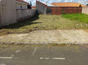 Foto 02 · Terreno - Jardim Del Rey