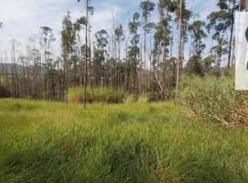 0d3c946d93baeaf9442ffa5cfa7bd0e304ed4284 · Sítio à venda, 32600 m² - Centro (Três Pontes) - Amparo/SP
