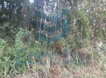 Foto 07 · ÁREA A VENDA EM PIEDADE ÁREA DE COMPENSAÇÃO AMBIENTAL PIEDADE - SP