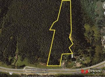 a34632a556e37f1d3825f5d0e88e85fffaba7148 · ÁREA 63.202,79 m² às margens da Rodovia Regis Bittencourt - Km 297 + 150 m