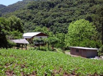 Foto 05 · Chácara 16 hectares para venda em Galópolis