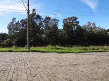 Foto 01 · Terreno 360m² para venda no bairro PLANALTO / Vila Verde, em Caxias do Sul