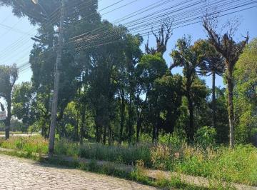 Foto 06 · Terreno 360m² para venda no bairro Planalto / Vila Verde, em Caxias do Sul