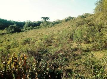 Foto 04 · ÁREA para venda - REGIÃO DALAGNO  - Caxias do Sul - 2 hectares