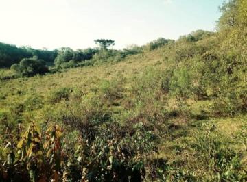Foto 04 · ÁREA para venda - REGIÃO DALAGNO  - Caxias do Sul - 2 hectares
