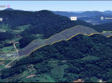 Rural de 2 quartos, Pomerode · Fazenda / Sítio / Chácara com 3 Quartos à venda, 157000m² - Testo Central - Pomerode