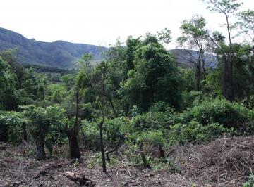 Foto 12 · Terreno de 1.800m² no Condomínio Águas Claras, Brumadinho-MG: sua chance de construir o lar dos sonh