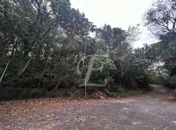 f432cd784937bcceb575a2cb5cf7e81a046a7466 · Terreno à venda, 13000 m² por R$ 7.000.000,00 - Tremembé - São Paulo/SP