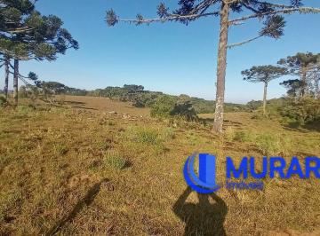 Rural · 400m² · Fazenda à venda no bairro Centro - São Francisco de Paula/RS