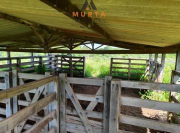 Foto 15 · Fazenda, Rural, Santo Hipólito, MG