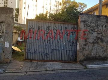 193ea9e5afe3592ea139b0818f7ef18f.jpg · Terreno