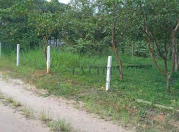 e1c375578a41c79559e38410c6e1c501c2203753 · Terreno à venda, 844 m² por R$ 250.000,00 - Minas - Ilhota/SC