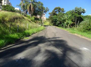 pocos-de-caldas-terrenos-terreno-jardim-regina-16-04-2018_11-28-12-1.jpg · Terrenos Padrão em Poços de Caldas